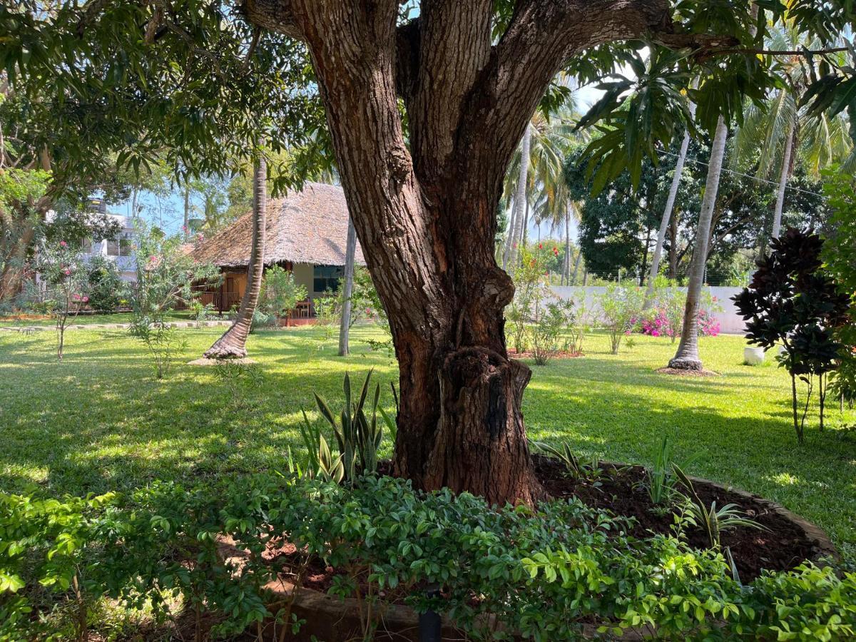 Calamari Beach Resort Zanzibar Exterior photo